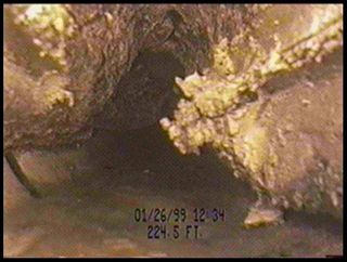 Greasy sewer line buildup in the town of Cary, North Carolina.