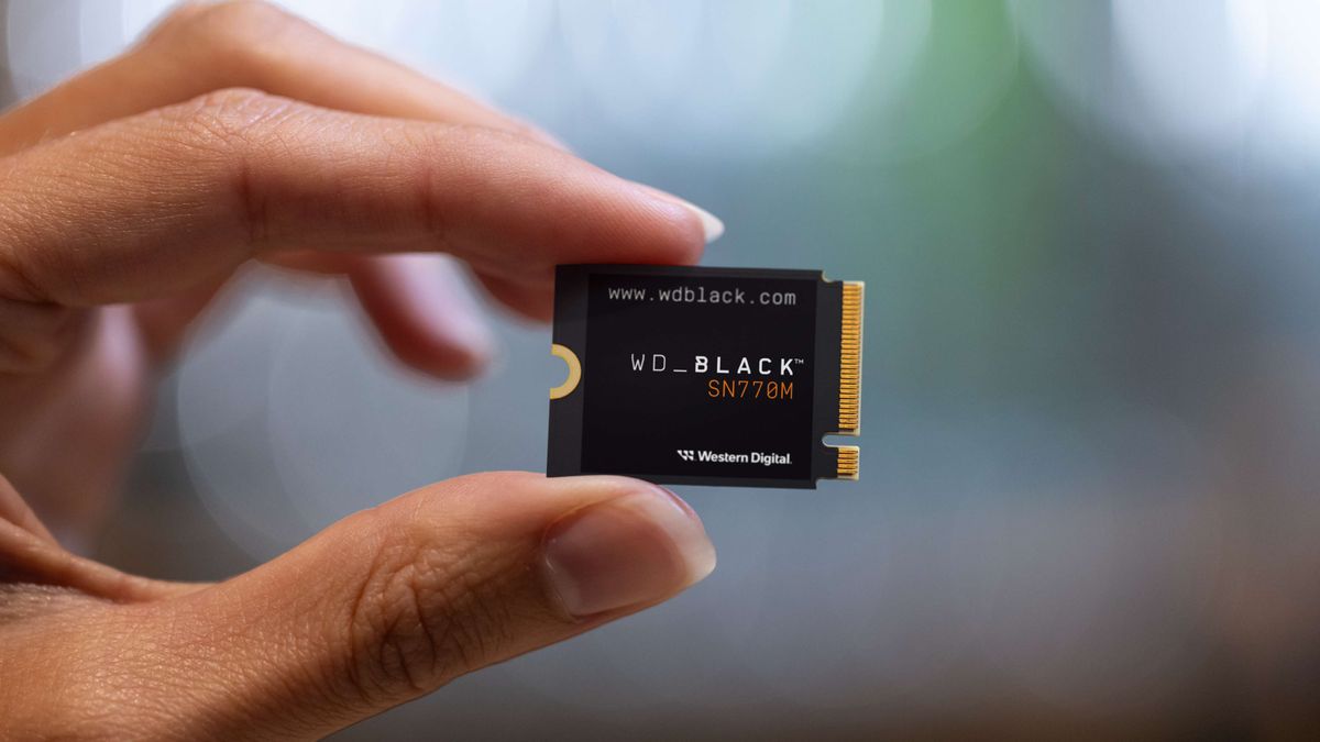 Image of the WD_BLACK SN770M SSD.