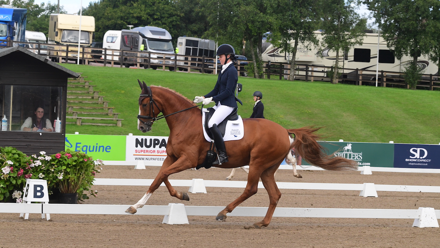 DS8_7572.jpg
