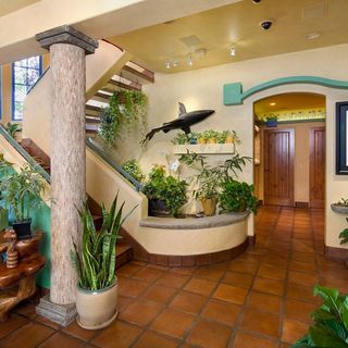 hallway with stairs and potted plant