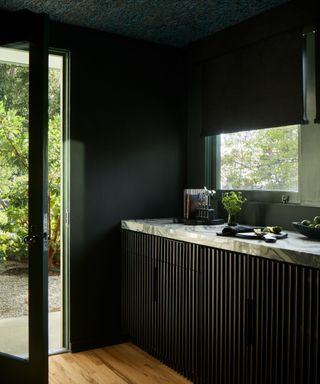 color drenched black kitchen with glass door