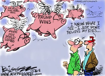 Political cartoon U.S. when pigs fly