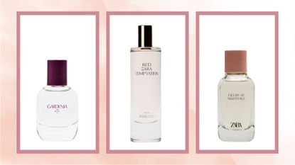 A selection of best Zara perfumes including Gardenia, Red Temptation and Fields at Nightfall/ in a pink watercolour template