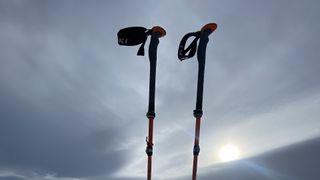 ski poles