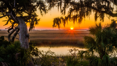 A view across Cumberland Island at sunset