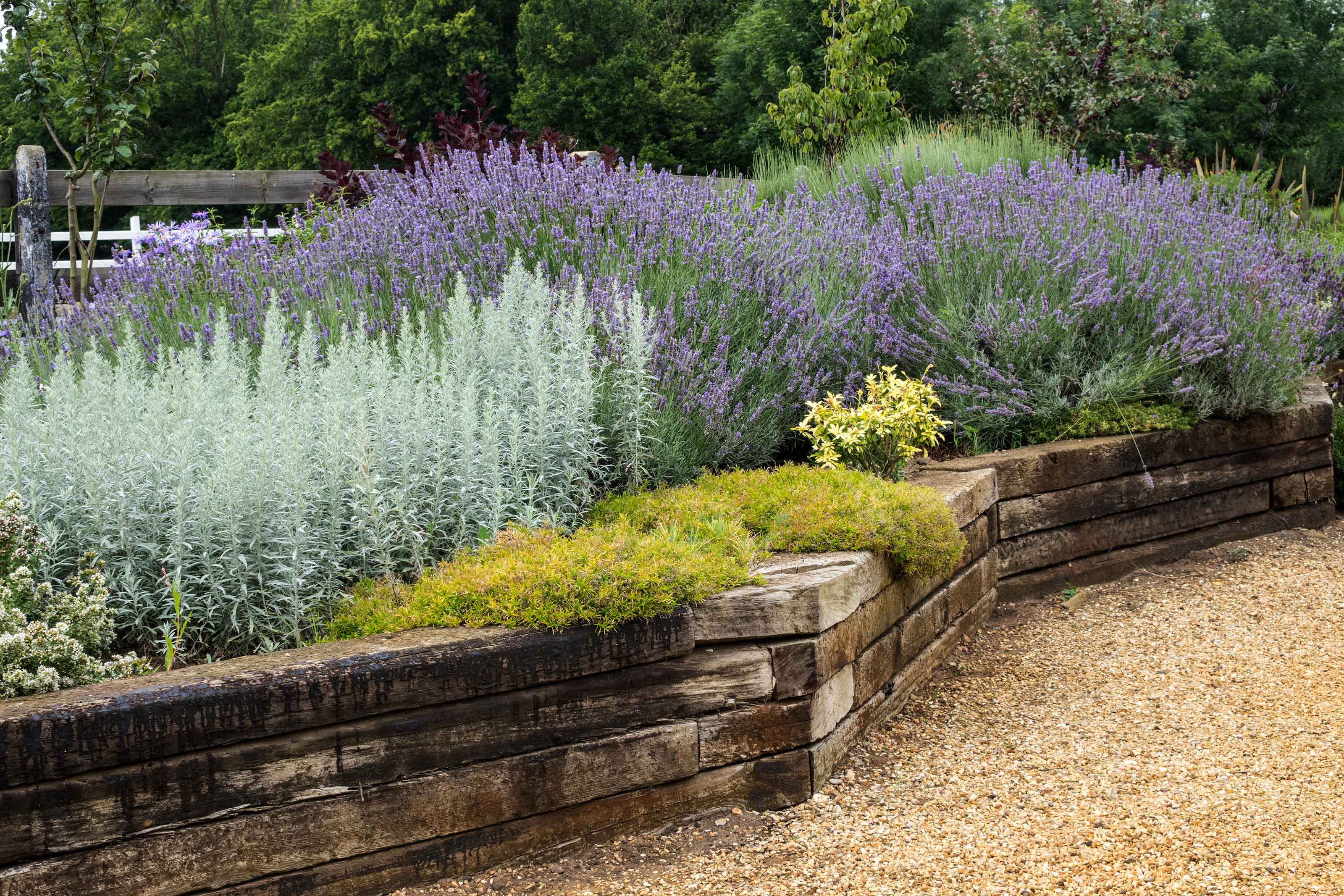 raised bed with garden sleepers