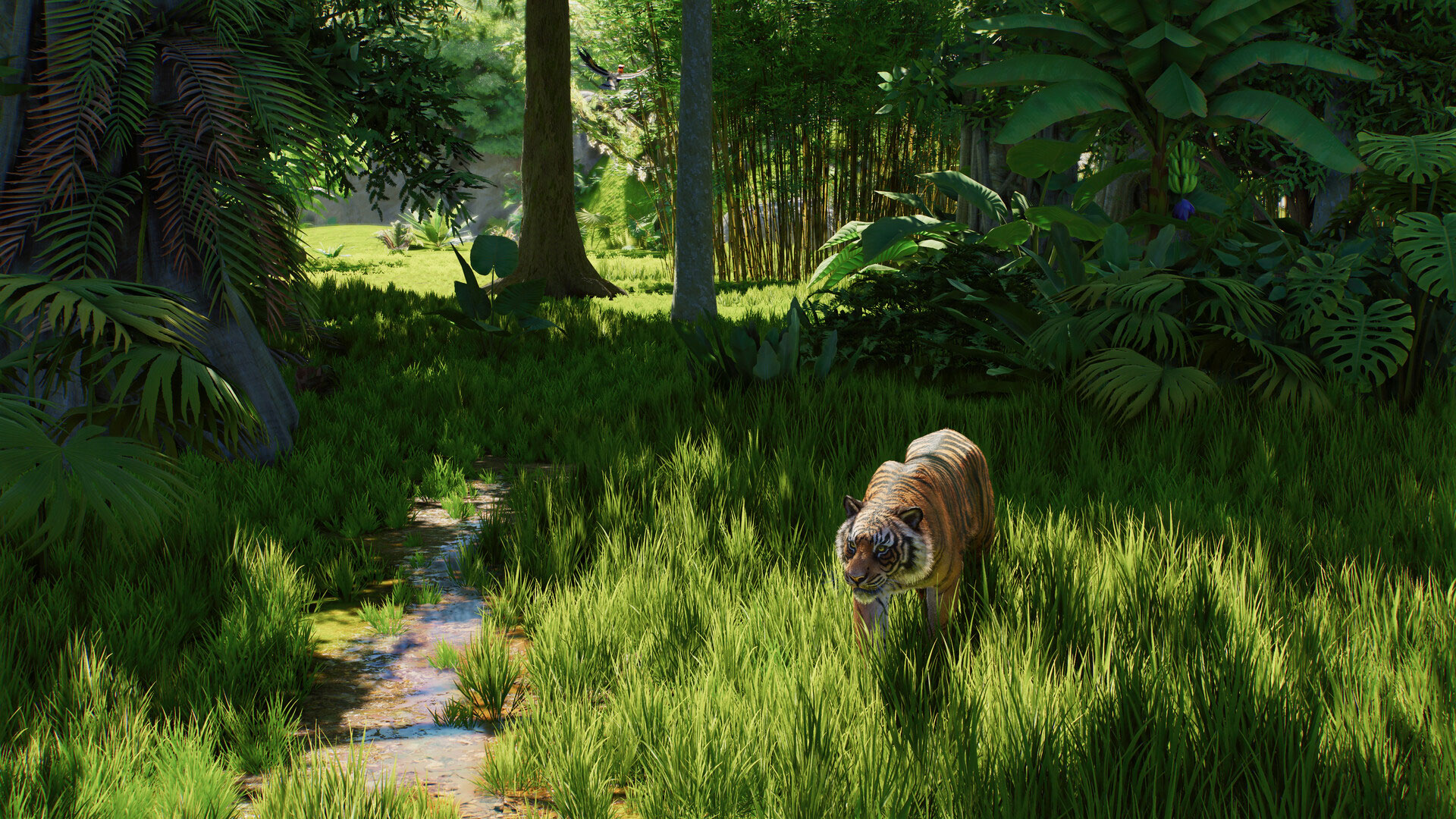 A tiger on the prowl in Planet Zoo 2