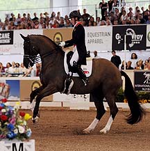 CDujardinValegro.jpg