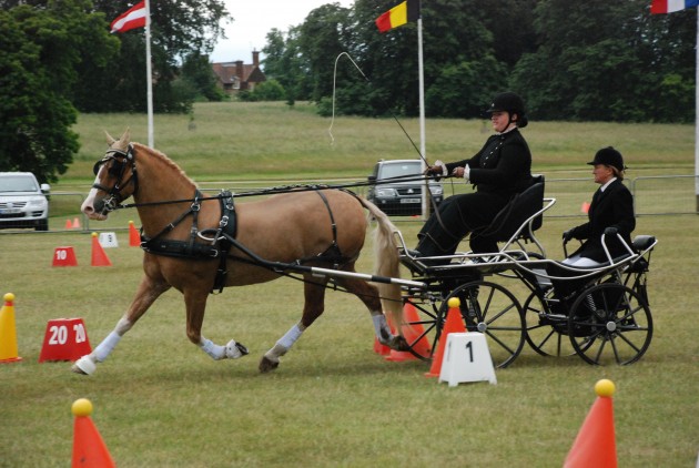 Winning the cones phase at Sandringham