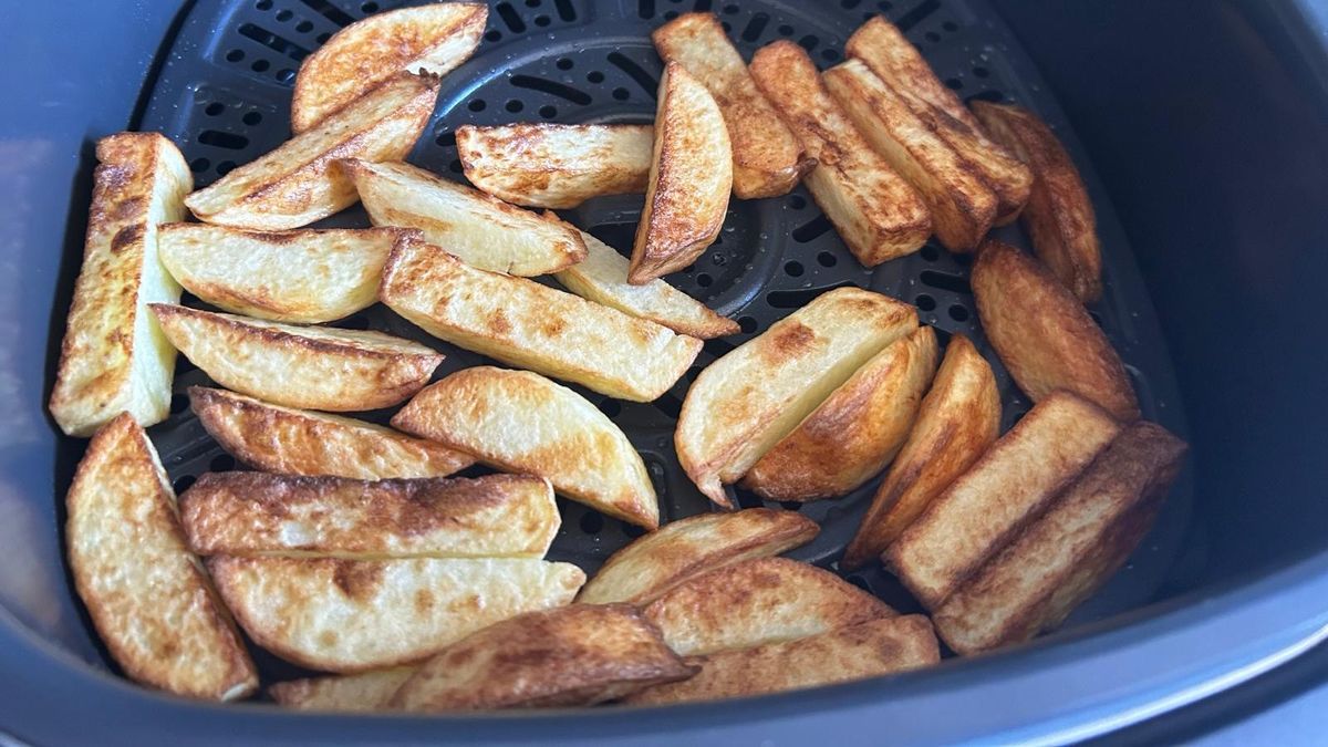 Fresh fries cooked using Ninja 5-in-1 Grill and Air Fryer