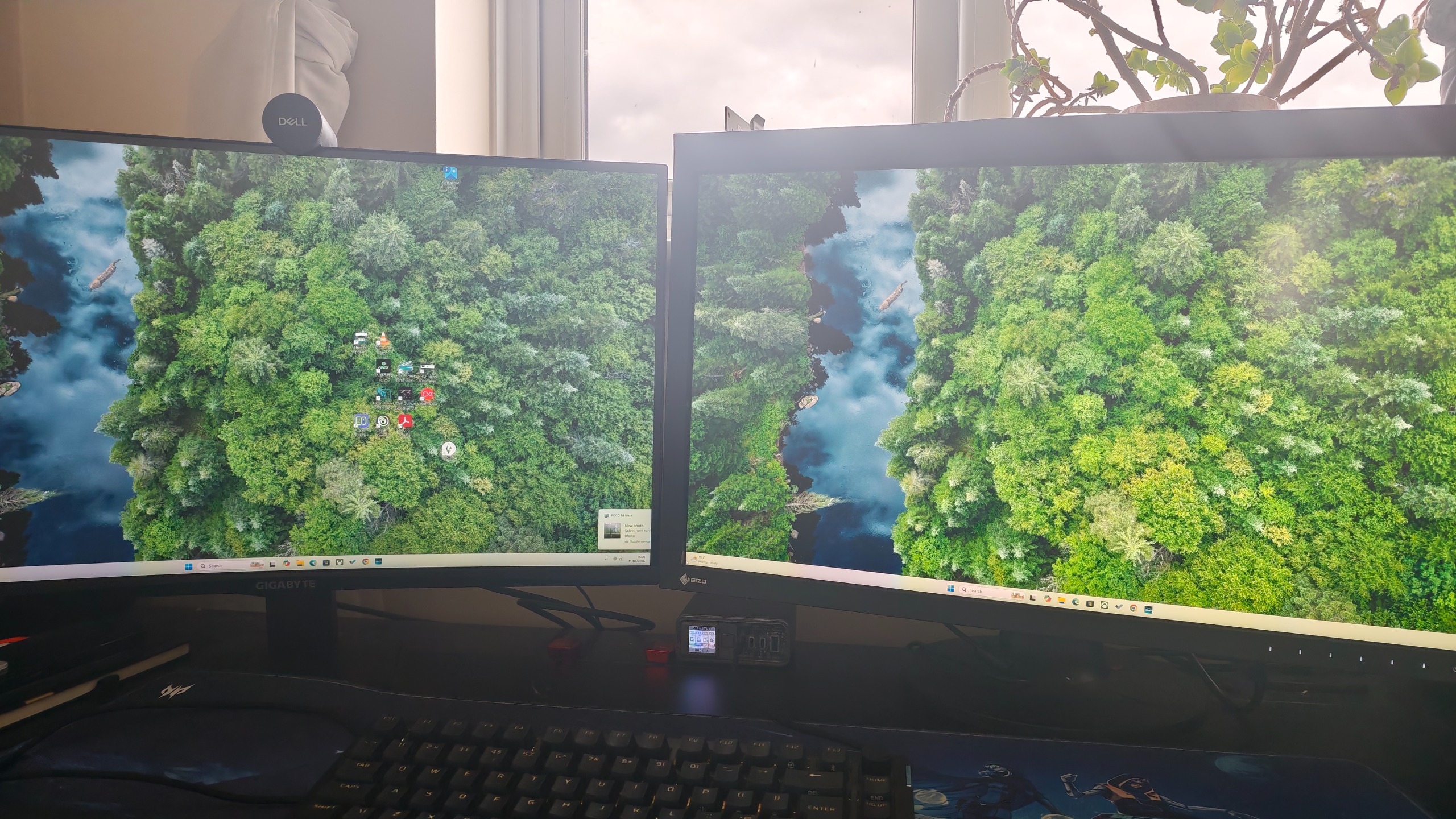 An Eizo ColorEdge CG2700X monitor sitting on a desk, showing a forest image on its screen