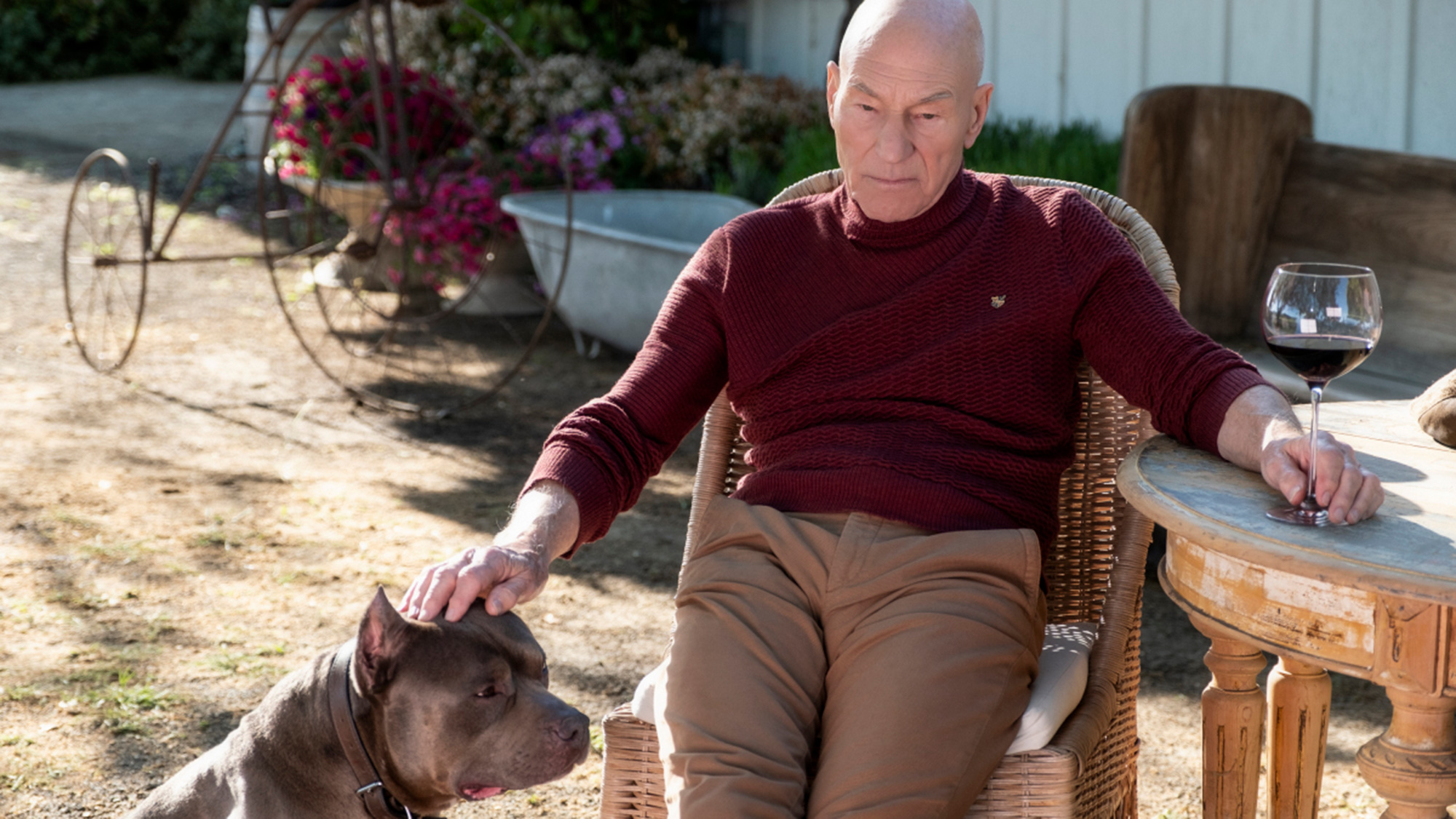 How To Watch Star Trek Picard Online And On Tv Around The World