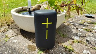 Ultimate Ears Everboom portable speaker in garden