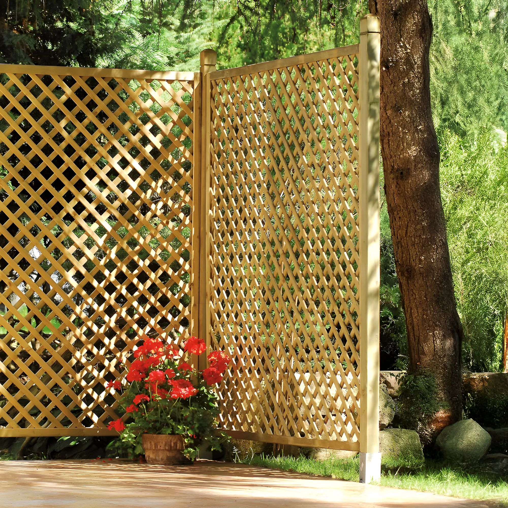 Primrose wall trellis B&amp;amp;Q