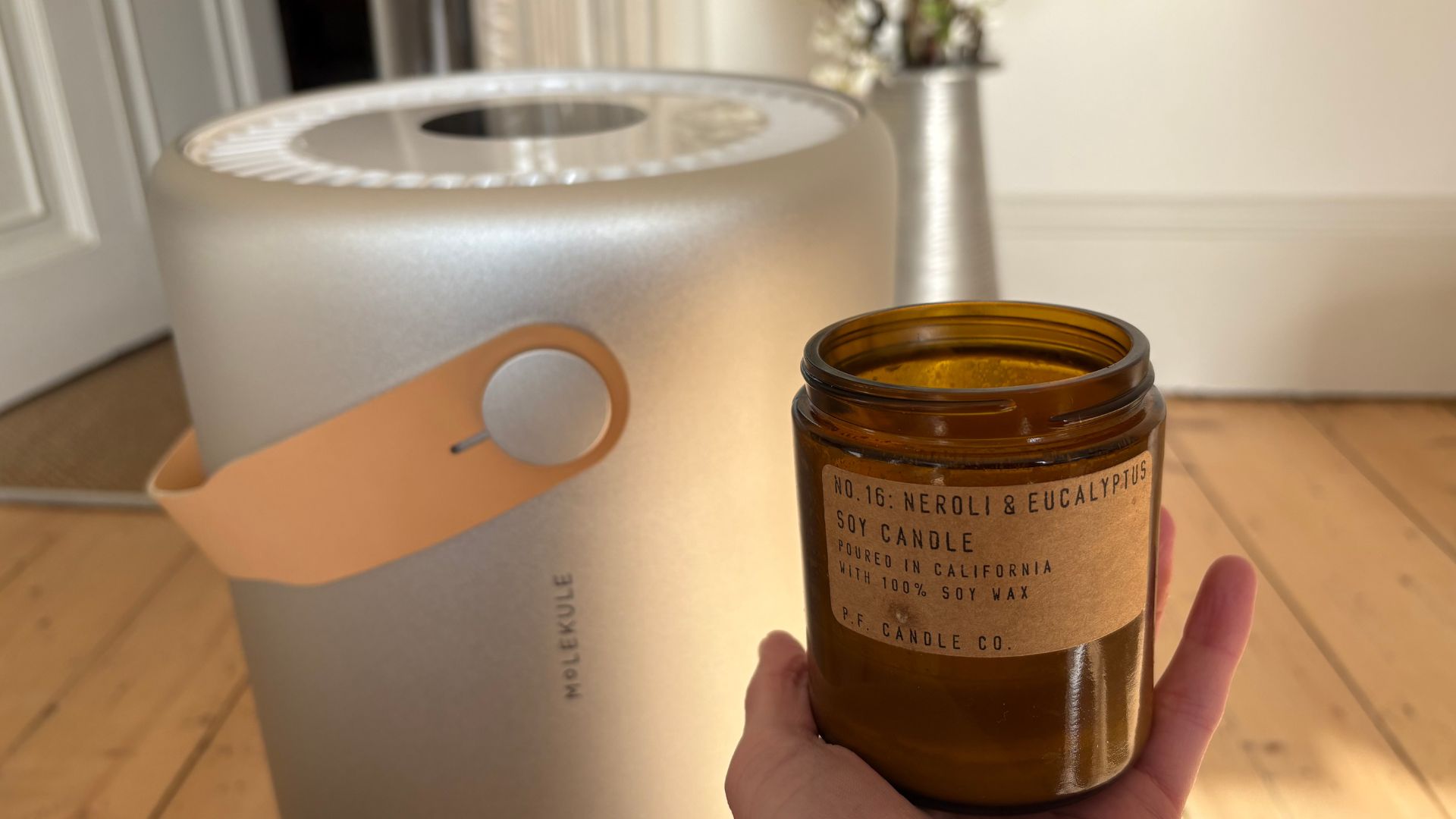 Testing the Molekule Air Pro Air Purifier