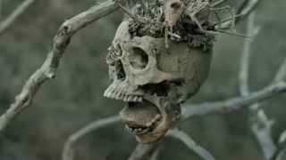 Skulls in Bone Tomahawk