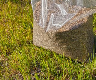 Clear plastic bag filled with lawn seed