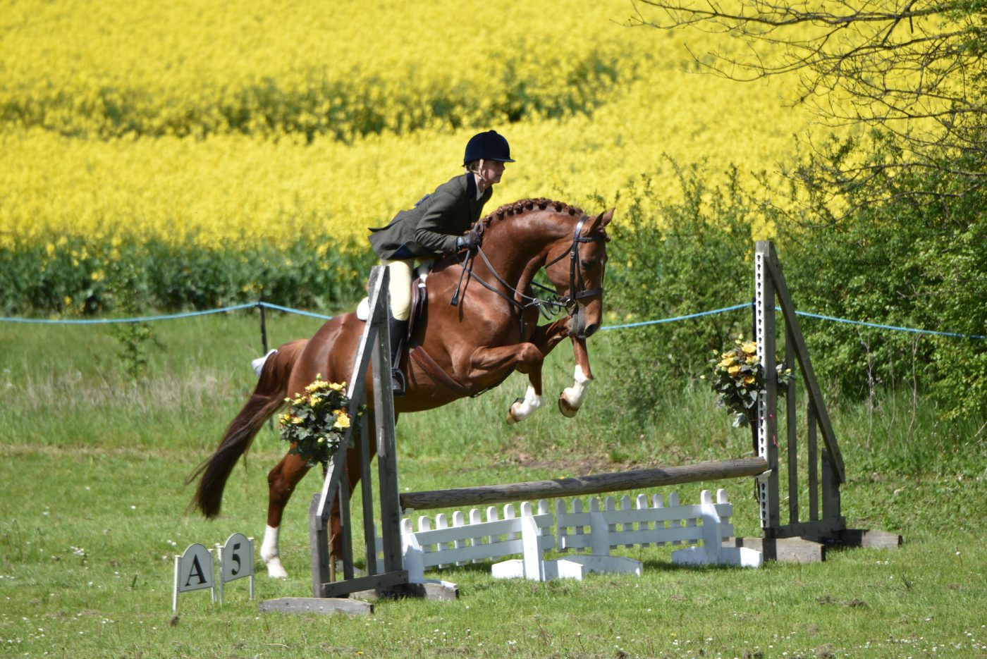 Redwings-Show-2019-3-e1559662180701.jpg
