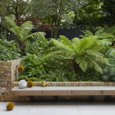 Garden detail with grey paving slabs and wooden bench on low brick wall with ferns