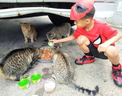 5-year-old Shon Griffin feeds local stray cats.