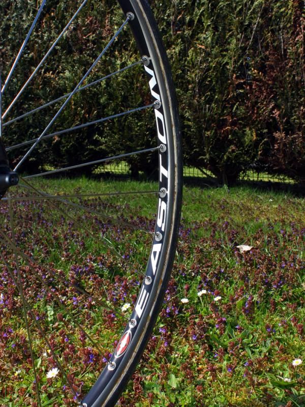 These rims sport giant Easton decals