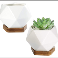 Modern Geometric White Ceramic Mini Succulent Planter Pots: $15.99 for 2, $17.99 for 3 at Amazon 