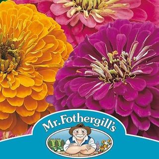 Mr Fothergill's 18536 Flower Seeds, Zinnia Jazz