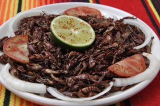 A plate of roasted grasshoppers, or chapulines, is a regional delicacy in southern Mexico.