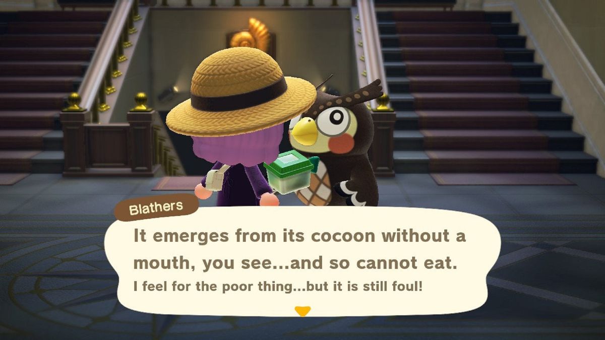 How catching a Barreleye fish in Animal Crossing New Horizons reminded me what I love most