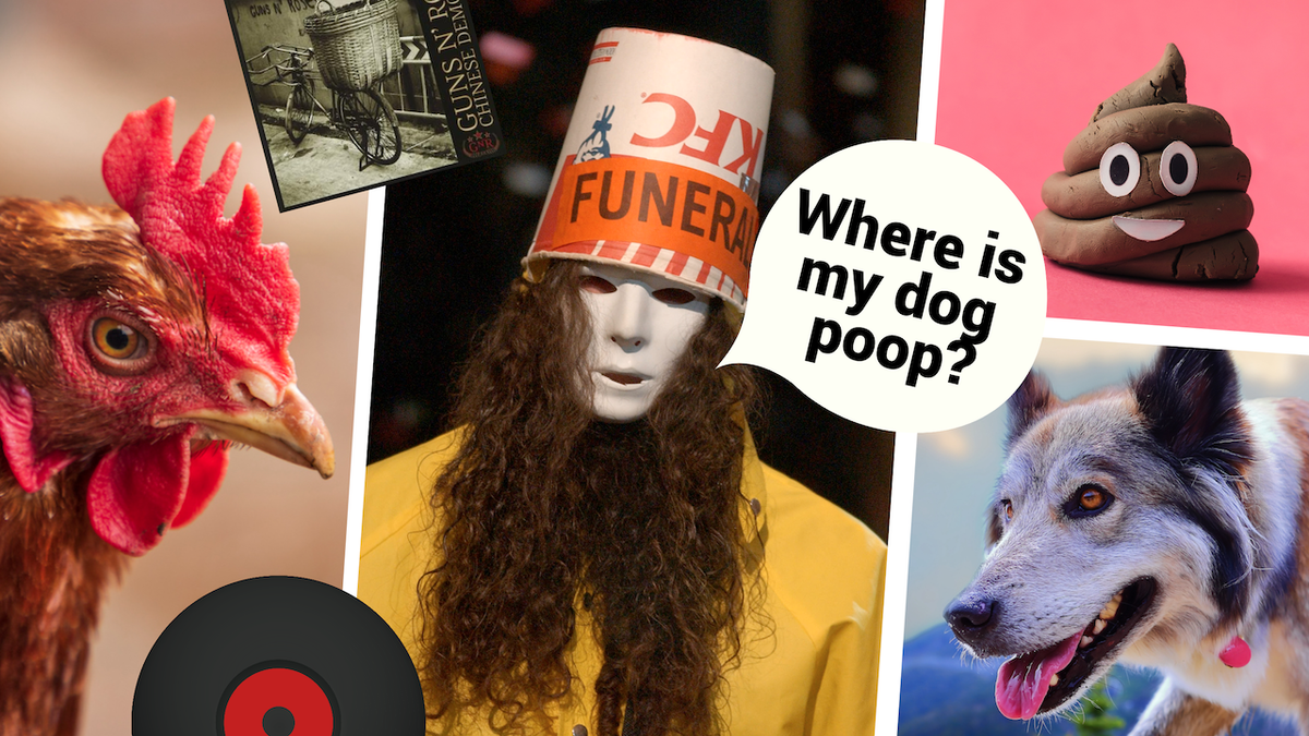 Buckethead, a wolfdog, a chicken and a poop emoji