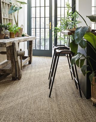 eco flooring made from seagrass with houseplants