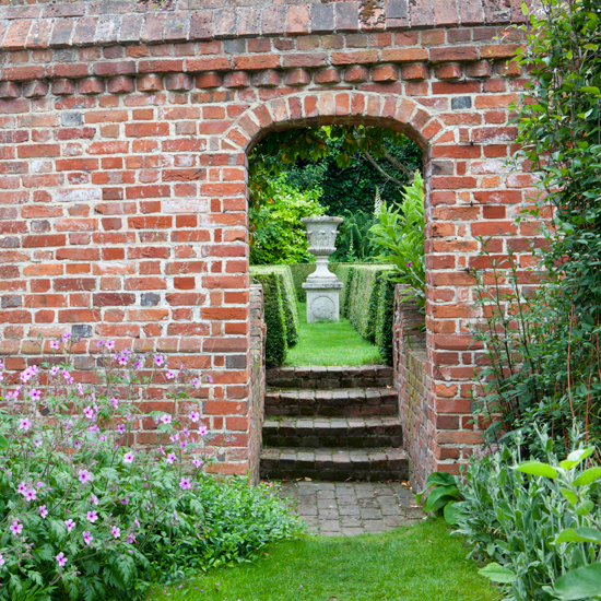 garden with plant and flower