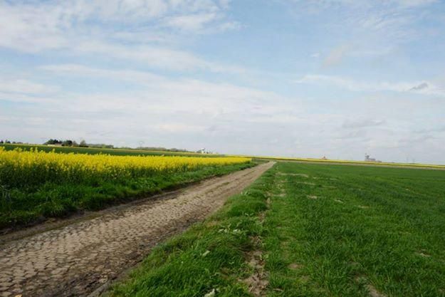 The cobbles of Roubaix