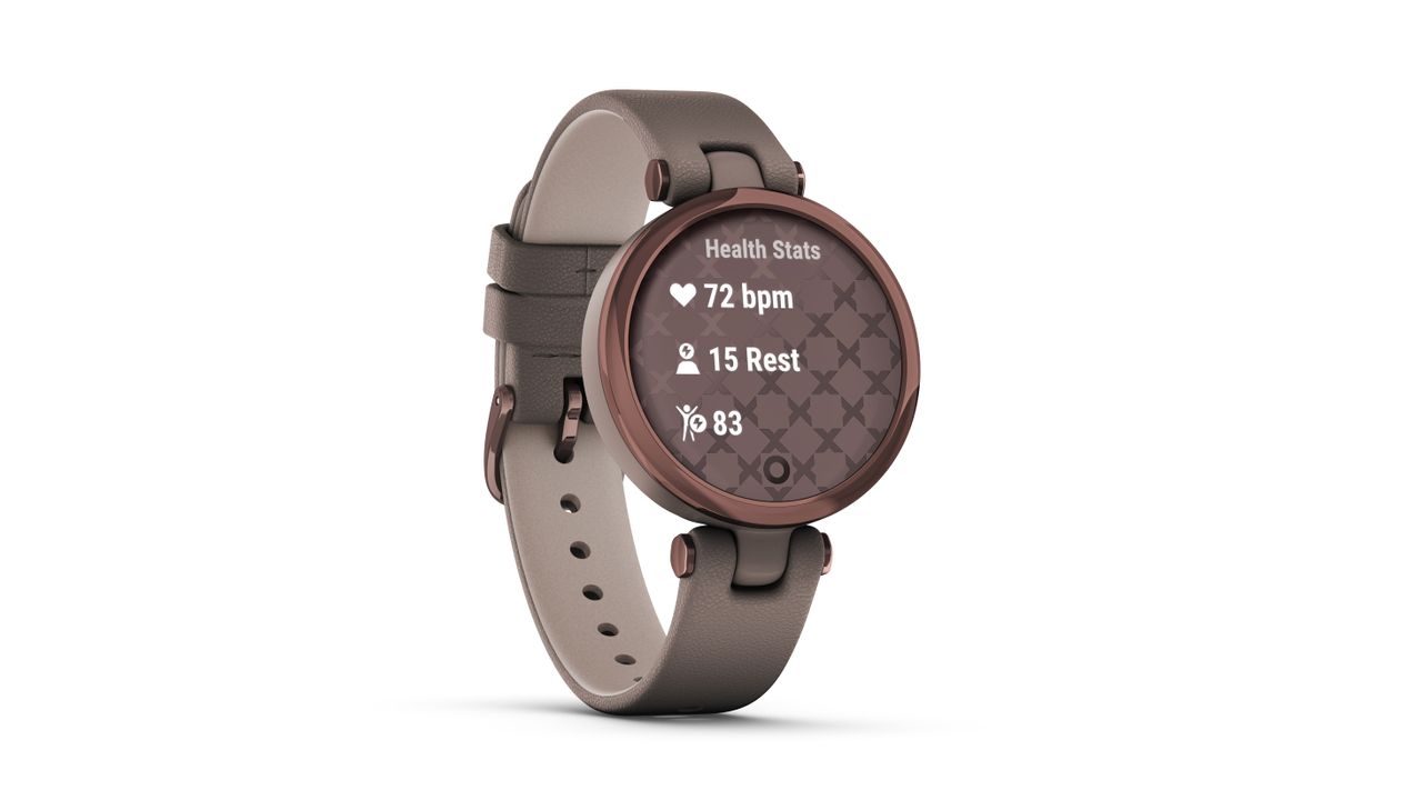 Garmin Lily price release date