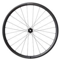Hunt 30 Carbon Disc 