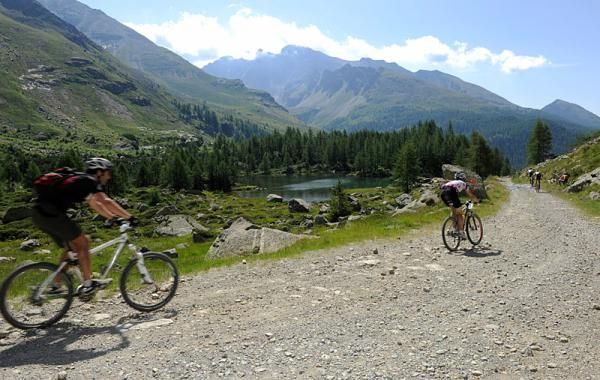 A fireroad section on stage 6 of the TransAlp