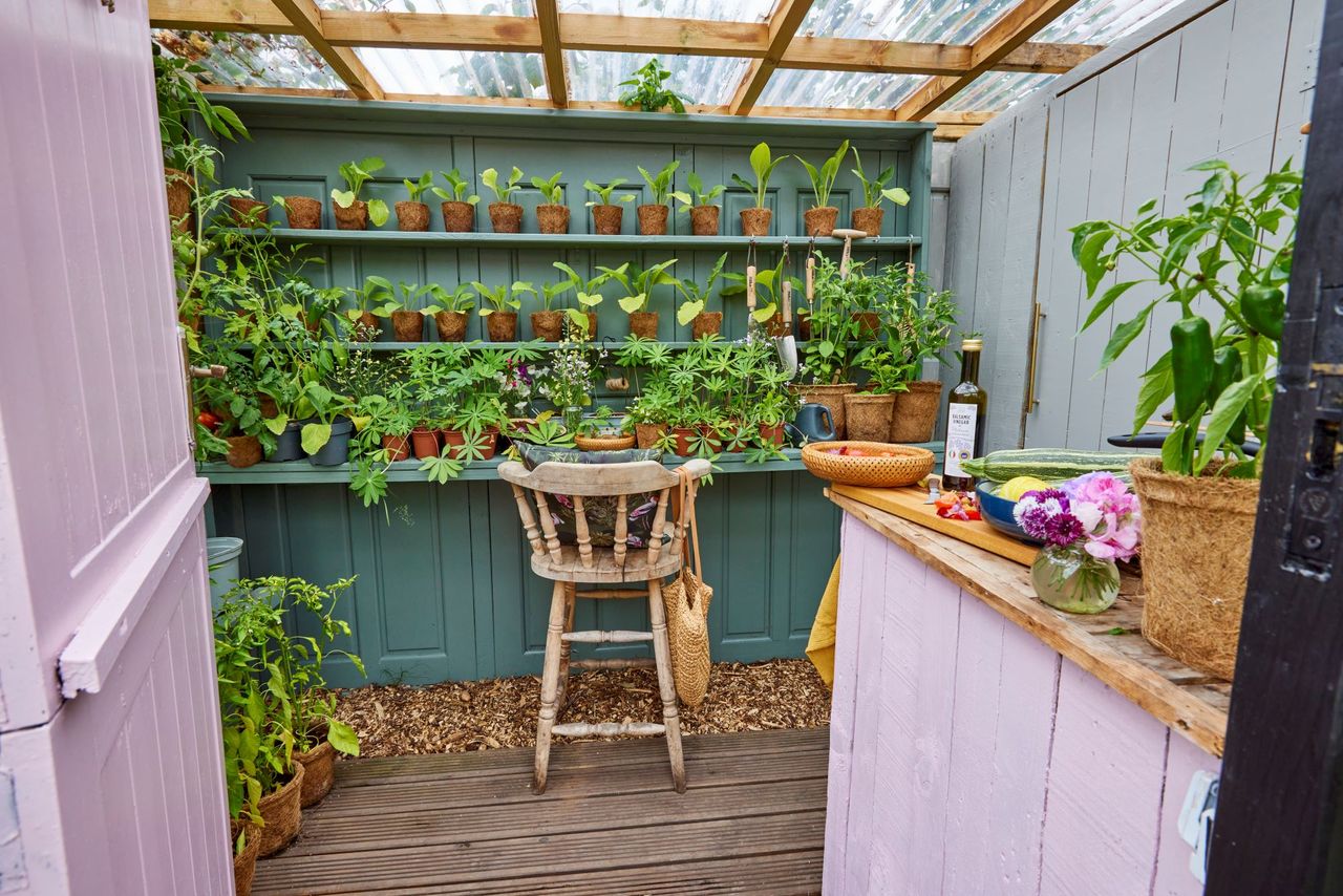 Inside of the shed