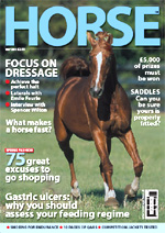 horsecov23.jpg