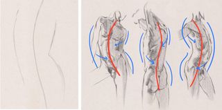 How to draw a torso: 01