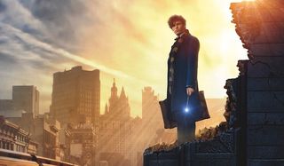 Fantastic Beasts and Where To Find Them Newt Scamander