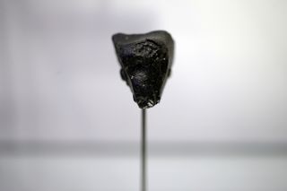 a small black rock on the end of a display stand