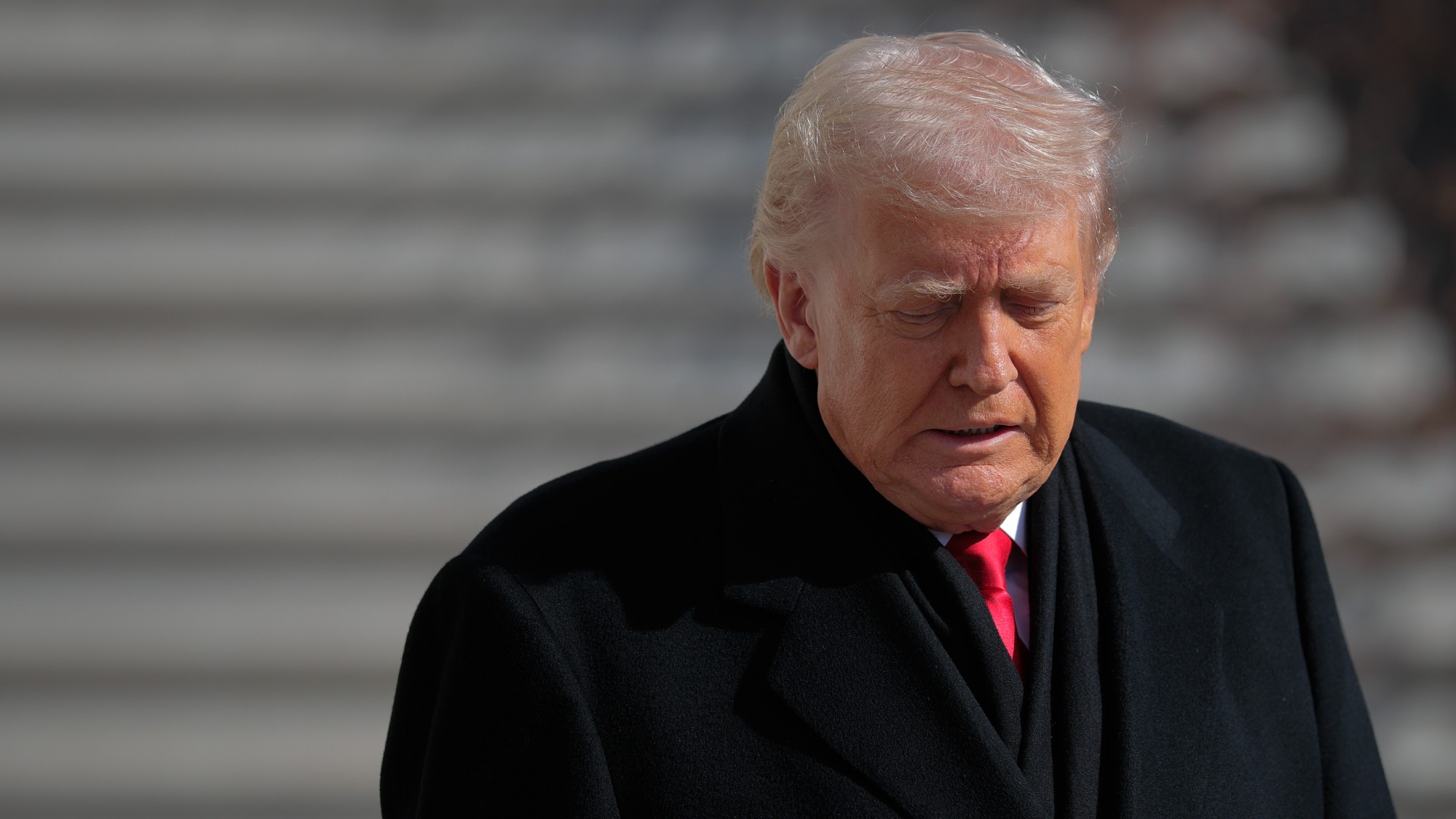 Trump looking confused