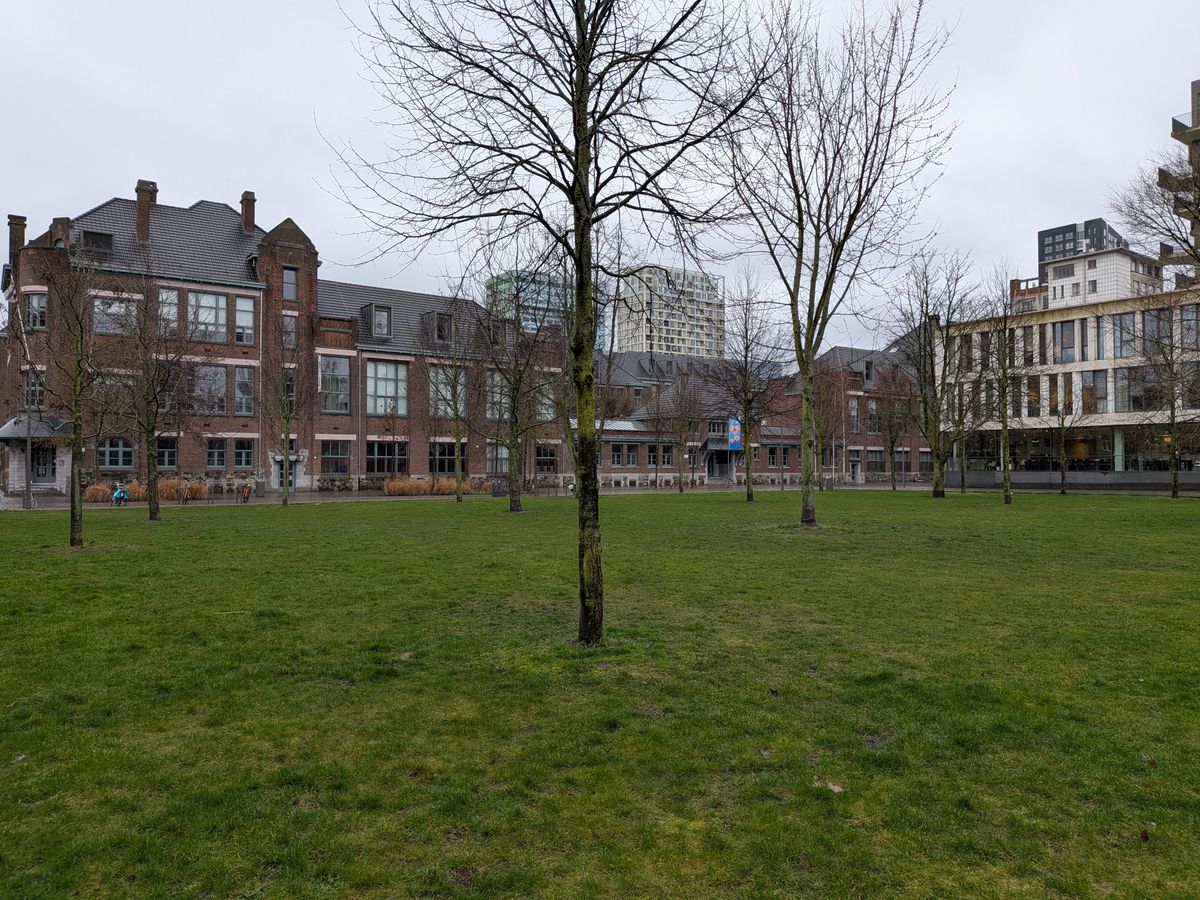 Google Pixel 10a fotoeksempel
