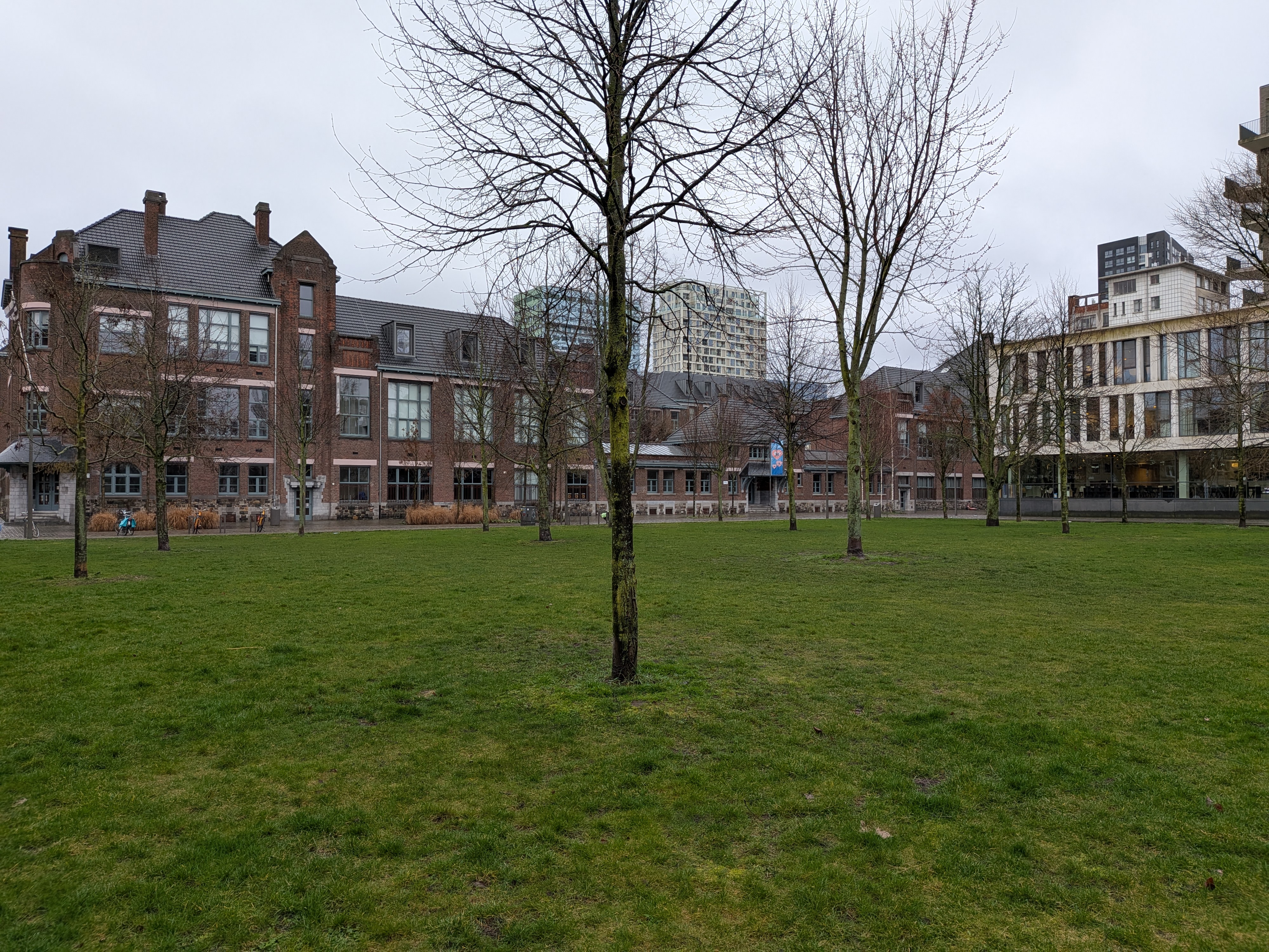 Google Pixel 10a eksempelbillede