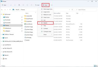 File Explorer change to Details view