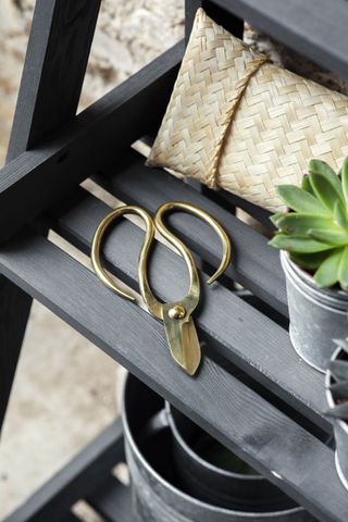 garden scissors in brass finish