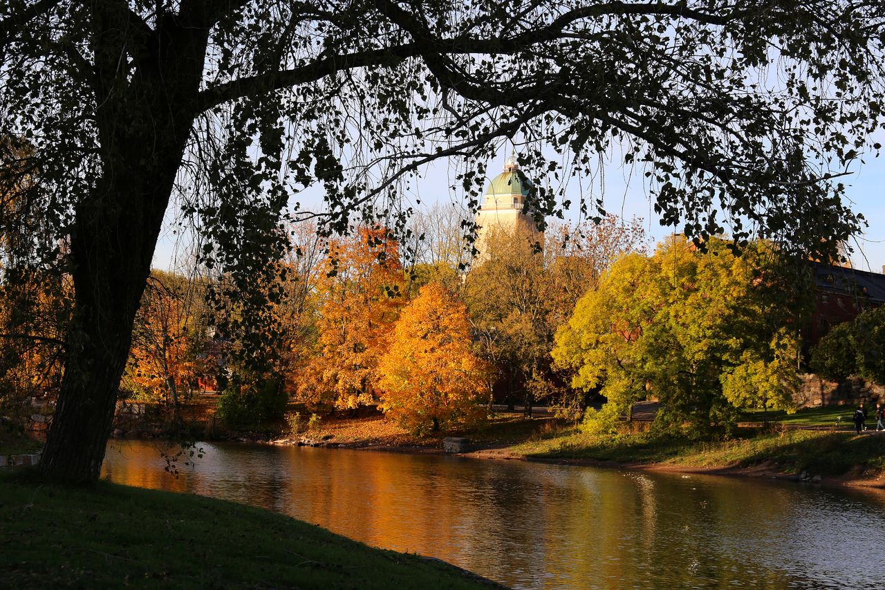 Suomenlinna church is among Wallpaper’s guide of what to do in Helsinki; here it is seen amid autumn trees, with a river in the foreground