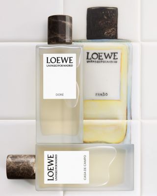 Loewe perfume