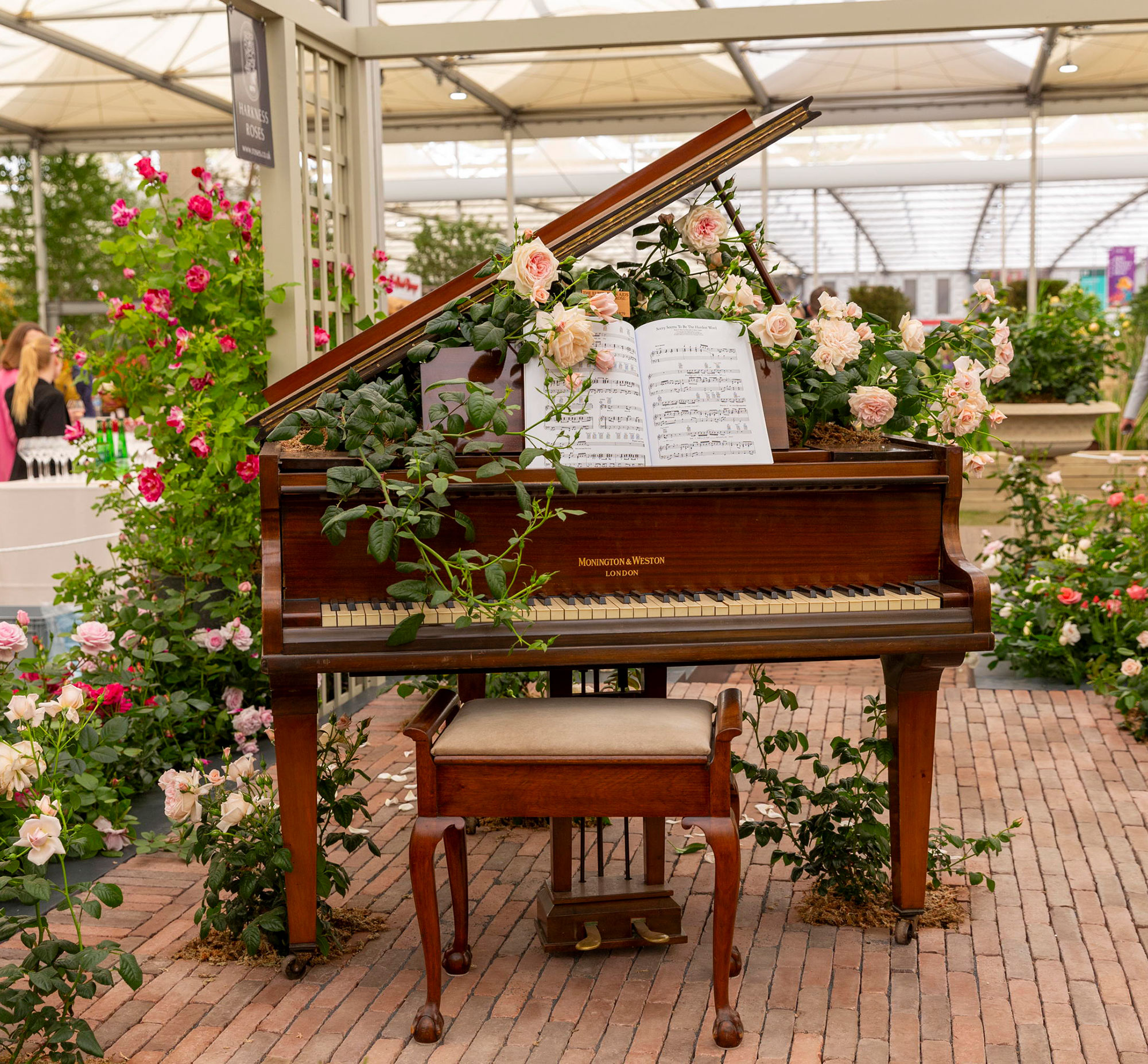 RHS Chelsea Flower Show 2025