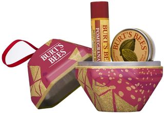 Burt's Bees A Bit of Burt's Bees 2 Piece Moisturising Gift Set